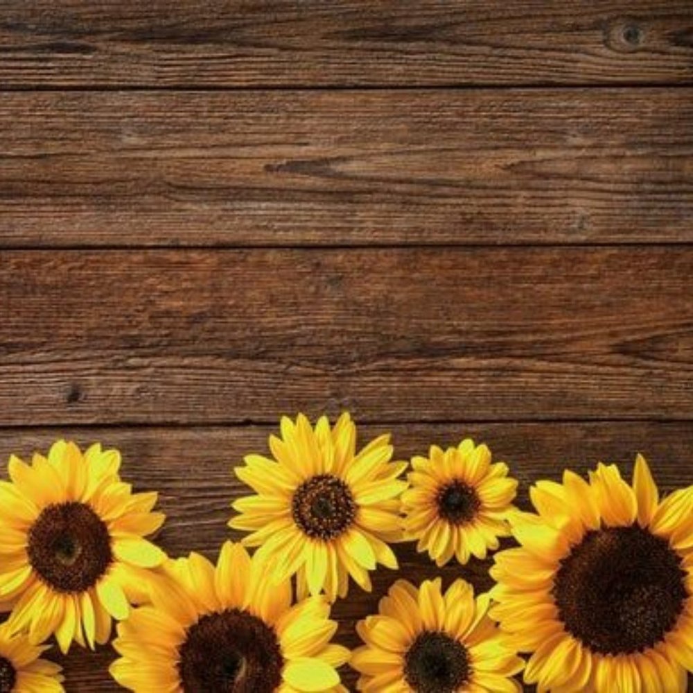 Meet your Posher, Briana